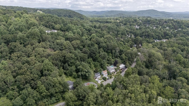 98 Buckley Ave, Oxford, NJ 07863 - photo 41