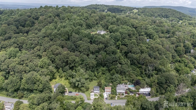 98 Buckley Ave, Oxford, NJ 07863 - photo 37