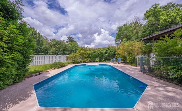 101 Weston Rd, Franklin, NJ 08873 - view of swimming pool featuring a fenced backyard and a patio area