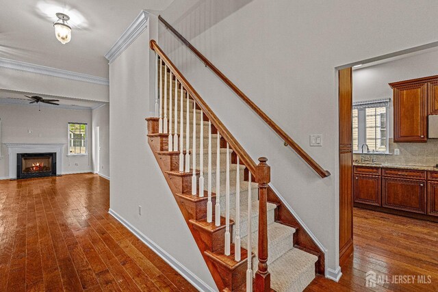 1 Essex St, Plainsboro, NJ 08536 - photo 11