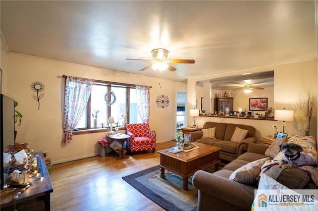 7 Cornell Rd, Old Bridge, NJ 08859 - living area with ceiling fan, wood finished floors, baseboards, and crown molding