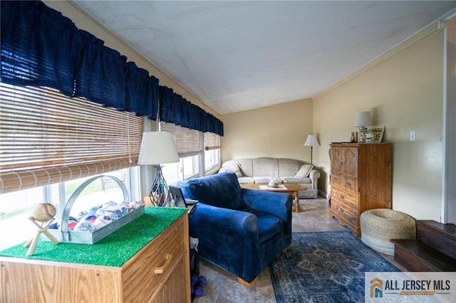7 Cornell Rd, Old Bridge, NJ 08859 - living room featuring carpet and lofted ceiling