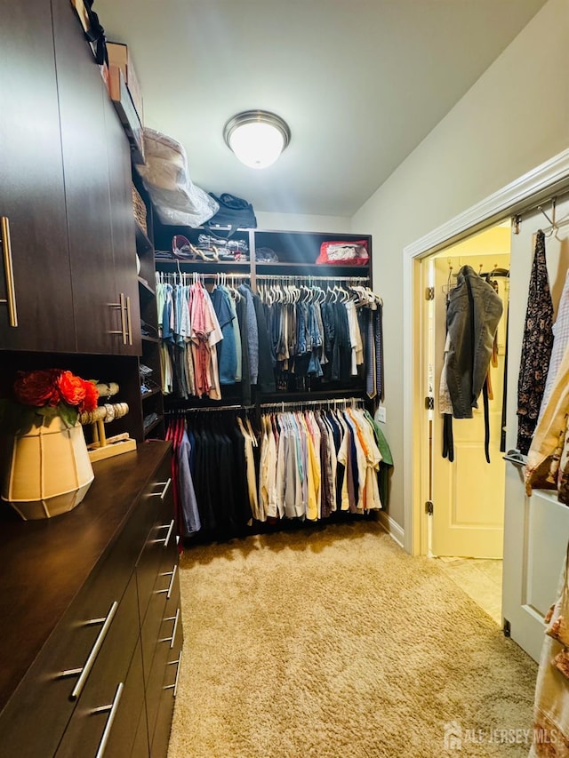 walk in closet with carpet flooring
