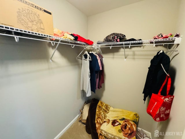 walk in closet with carpet flooring