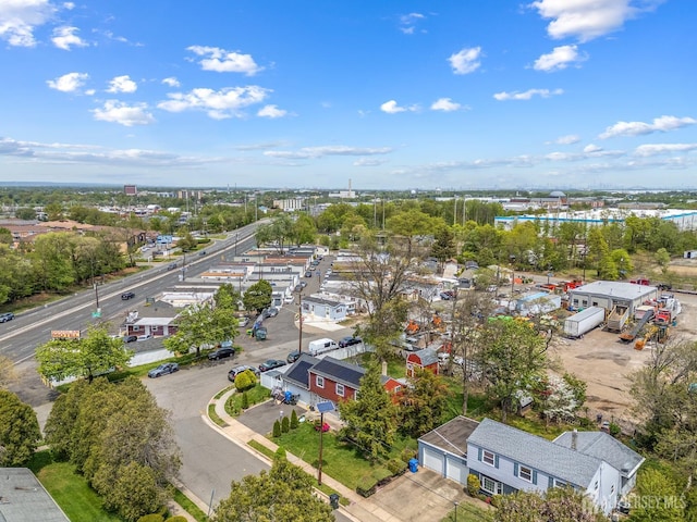 bird's eye view of a tree filled landscape