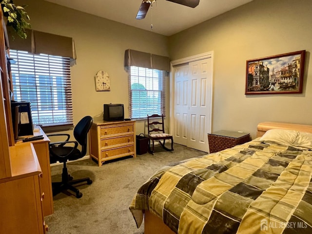 46 Dawson Ln, Monroe, NJ 08831 - bedroom featuring carpet floors, ceiling fan, and a closet