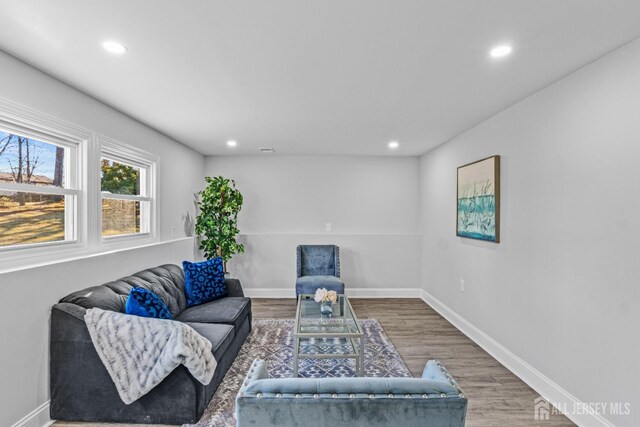 sitting room featuring wood-type flooring