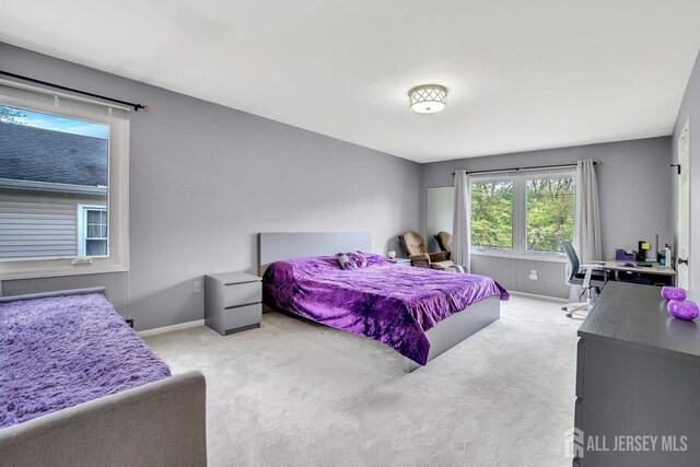 96 Chain O Hills Rd, Iselin, NJ 08830 - photo 20
