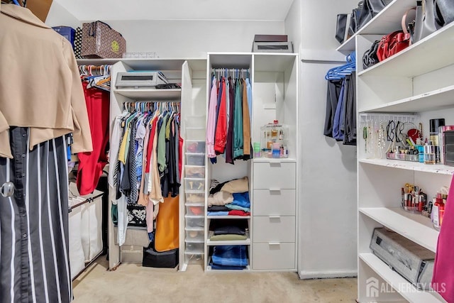 view of walk in closet