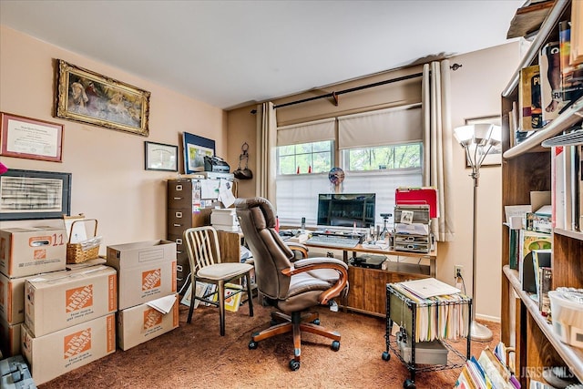 27 Landry Rd, Franklin Twsp, NJ 08873 - view of carpeted home office