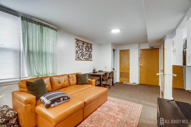 14 Handy St, New Brunswick, NJ 08901 - photo 5