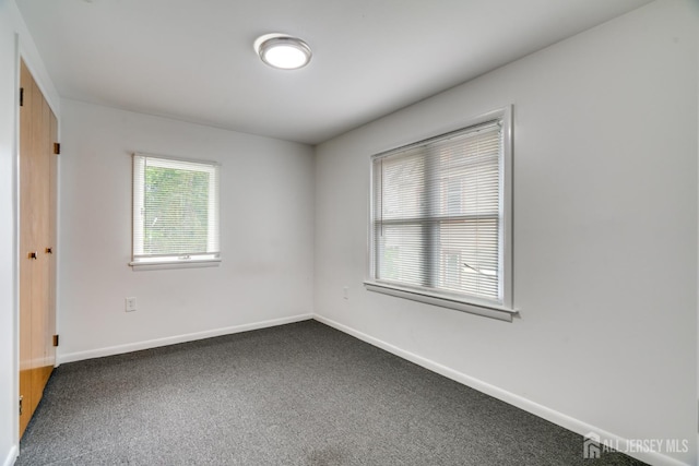 14 Handy St, New Brunswick, NJ 08901 - photo 16