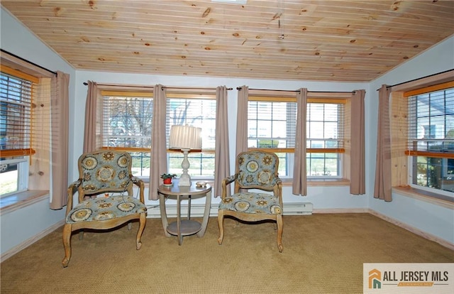 176 Rossmoor Dr Unit C, Monroe, NJ 08831 - sitting room featuring wood ceiling, plenty of natural light, carpet floors, baseboards, and vaulted ceiling
