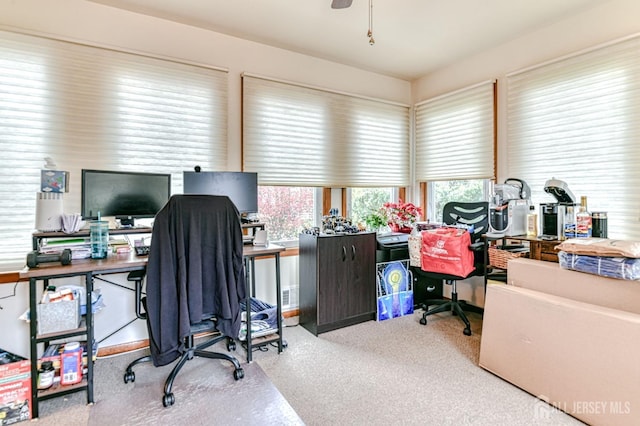 office with ceiling fan