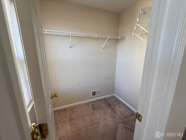 clothes washing area with carpet