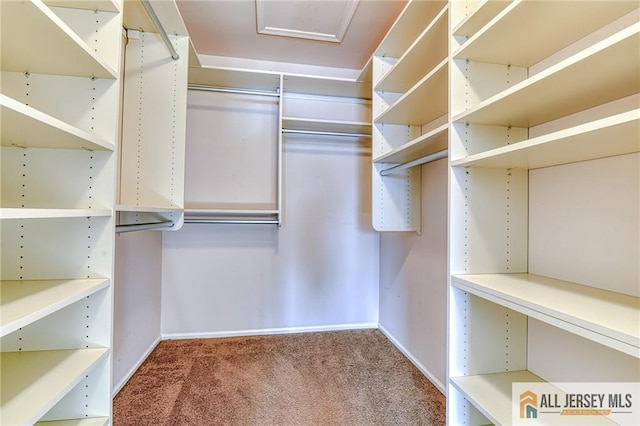 spacious closet with carpet flooring