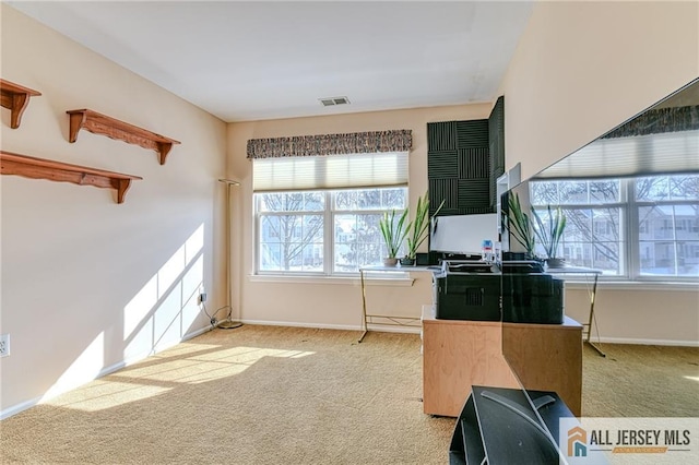 office featuring light colored carpet and a healthy amount of sunlight