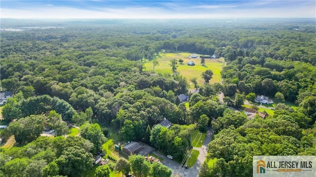 83 Hawkins Rd, Old Bridge, NJ 07726 - photo 53
