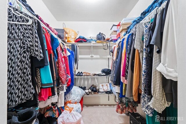 spacious closet featuring carpet