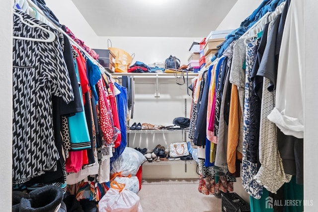 1006 Hidden Village Dr, Perth Amboy, NJ 08861 - spacious closet featuring carpet