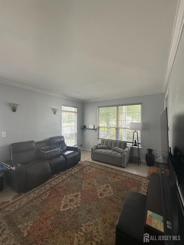 54 Magellan Way, Franklin Twsp, NJ 08823 - living room featuring ornamental molding and tile patterned flooring