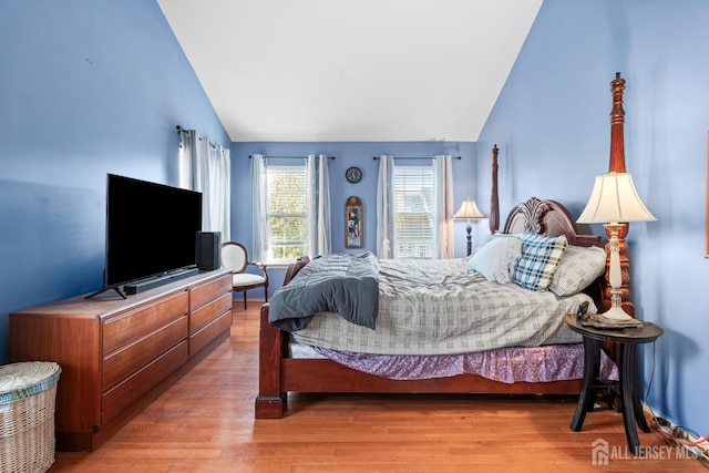 54 Magellan Way, Franklin Twsp, NJ 08823 - bedroom featuring lofted ceiling and light wood-style flooring
