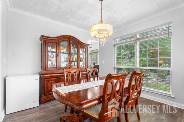 54 Magellan Way, Franklin Twsp, NJ 08823 - dining room with a chandelier, wood finished floors, and ornamental molding