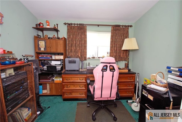 14 Albert Dr, Old Bridge, NJ 08857 - view of carpeted office space