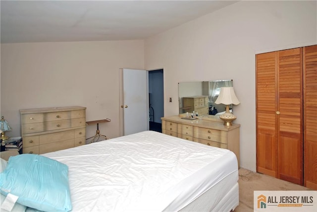 14 Albert Dr, Old Bridge, NJ 08857 - bedroom featuring vaulted ceiling, light carpet, and a closet