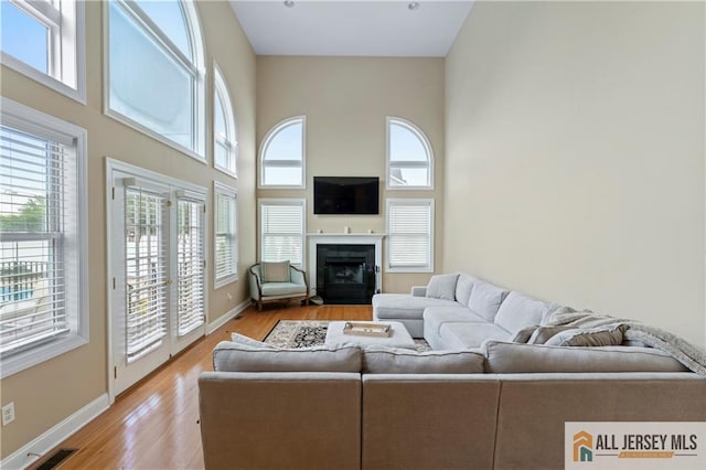8 Adam Ct, Monroe, NJ 08831 - living area with a high ceiling, light wood-type flooring, a fireplace with flush hearth, and baseboards
