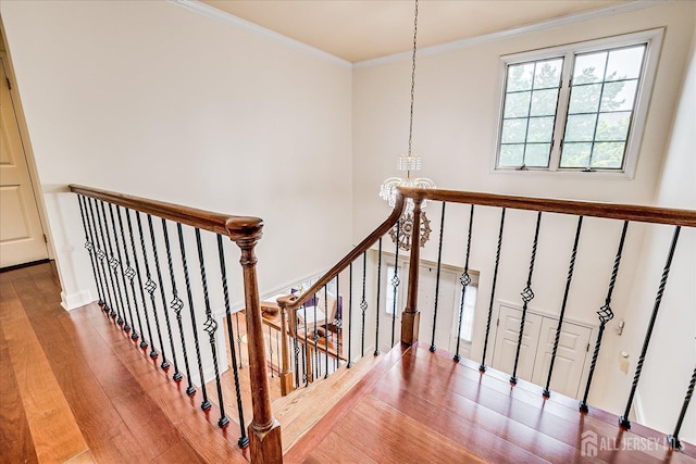 1 Hamilton Ct, South Brunswick, NJ 08824 - photo 36