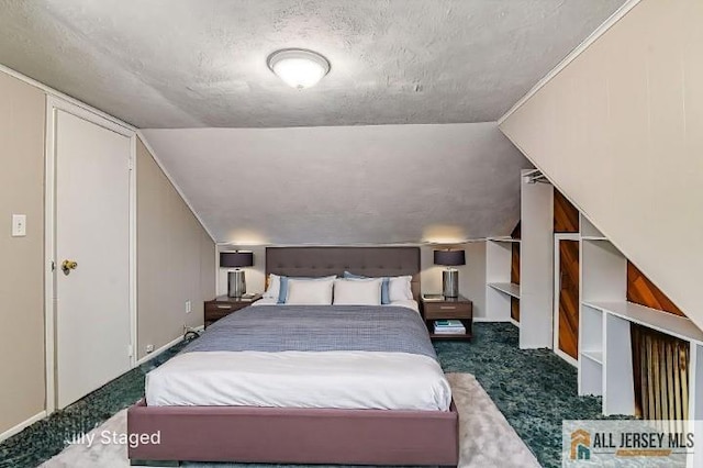 31 Lehigh Ave, Edison, NJ 08837 - carpeted bedroom with a textured ceiling and vaulted ceiling
