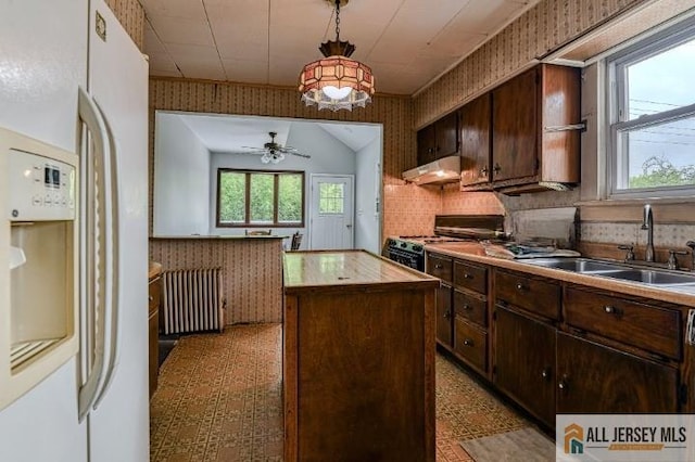 31 Lehigh Ave, Edison, NJ 08837 - kitchen with white appliances, radiator, under cabinet range hood, a center island, and dark brown cabinetry
