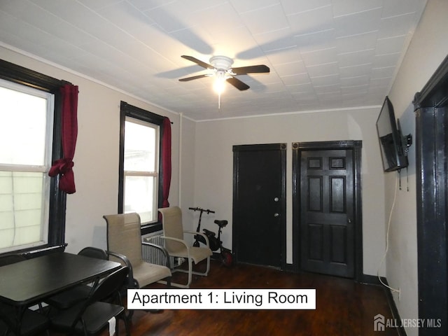 interior space with ceiling fan, a healthy amount of sunlight, dark hardwood / wood-style floors, and ornamental molding