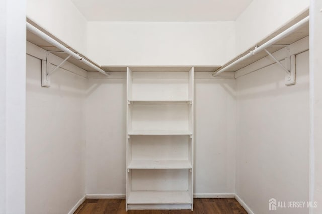 spacious closet featuring wood finished floors