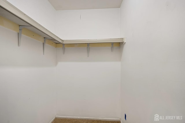 224 Pennsylvania Way N, Brunswick, NJ 08902 - walk in closet with carpet