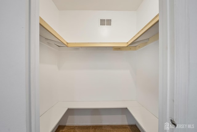 224 Pennsylvania Way N, Brunswick, NJ 08902 - walk in closet featuring carpet flooring