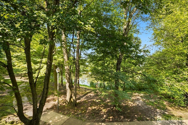 224 Pennsylvania Way N, Brunswick, NJ 08902 - view of undeveloped land
