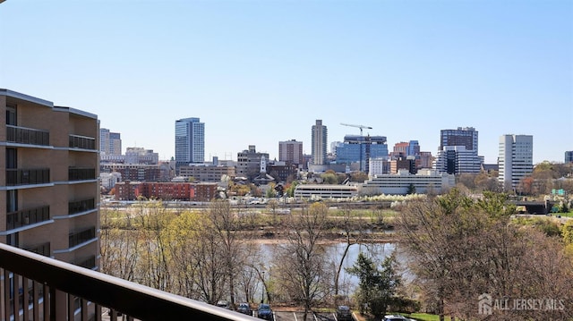 30 S Adelaide Ave Unit 7H, Highland Park, NJ 08904 - skyline view