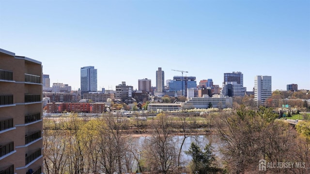 30 S Adelaide Ave Unit 7H, Highland Park, NJ 08904 - skyline view