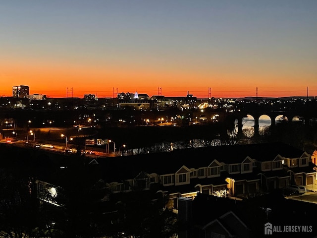 30 S Adelaide Ave Unit 7H, Highland Park, NJ 08904 - city view