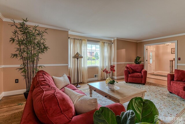 living room featuring hardwood / wood-style flooring and crown molding