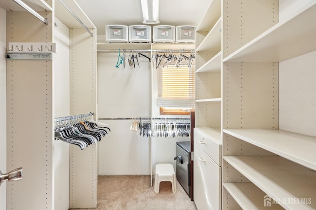 6 Claremont Ave, Colonia, NJ 07067 - walk in closet with light carpet