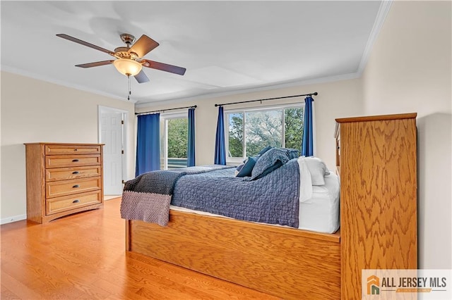 2507 Balmoral Ct, Hillsborough, NJ 08844 - bedroom with multiple windows, light wood finished floors, crown molding, and ceiling fan