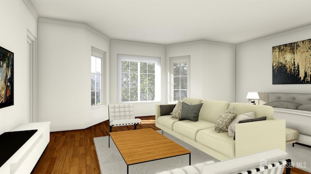 1955 Old Amwell Rd, Franklin Twsp, NJ 08873 - living room featuring dark wood-style floors and ornamental molding