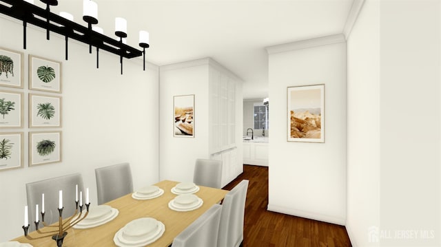 1955 Old Amwell Rd, Franklin Twsp, NJ 08873 - dining room featuring dark wood-style floors