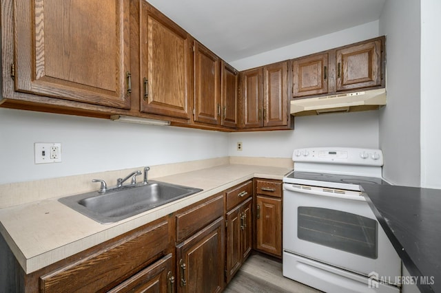 434 Lawrence St Unit 12, Perth Amboy, NJ 08861 - kitchen with white electric range oven, under cabinet range hood, light countertops, and light wood-style floors