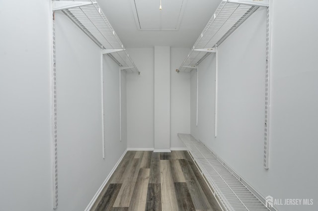 434 Lawrence St Unit 12, Perth Amboy, NJ 08861 - walk in closet featuring wood finished floors and attic access