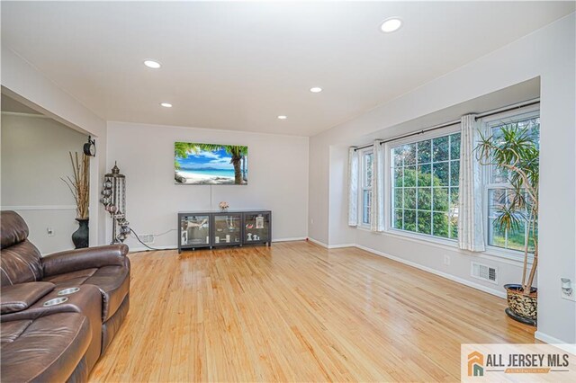 living room featuring light hardwood / wood-style floors