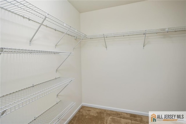 walk in closet featuring carpet flooring